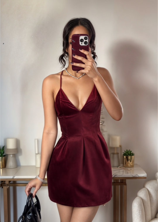 Bibi Velvet Mini Dress